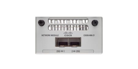 C9300-NM-2Y